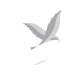 CenterParcs